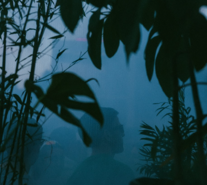 Listen: Recorded live from Peckham Rye